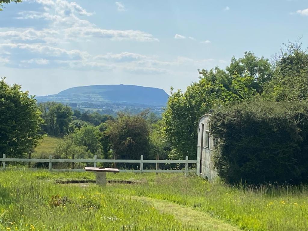 Clover Cottage Sligo Exteriör bild