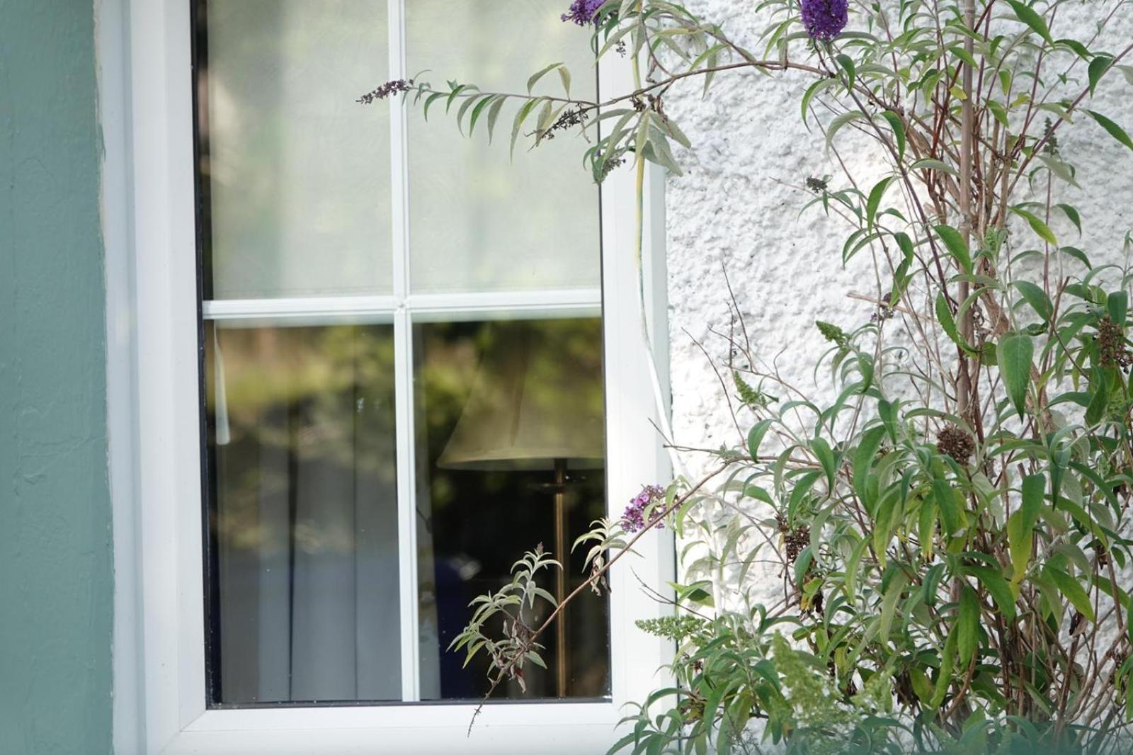 Clover Cottage Sligo Exteriör bild